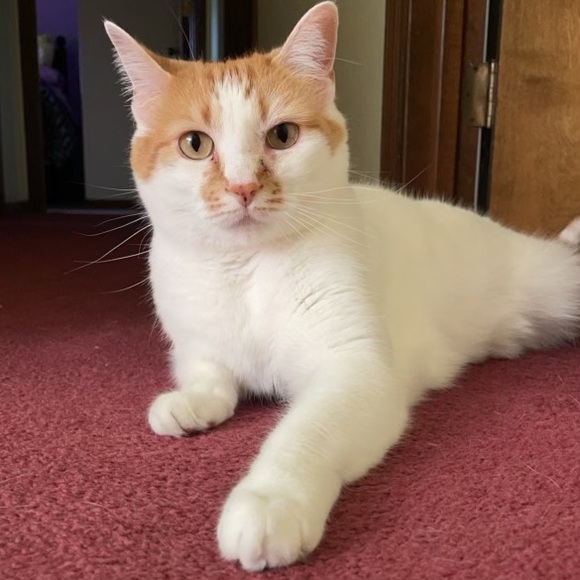 Live Share Show! - Picture 2 of 4